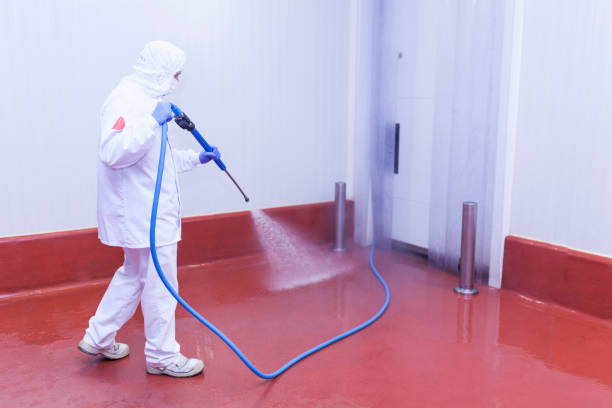 Best Gutter Cleaning and Brightening in West Columbia, TX