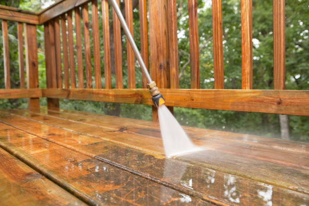 Best Pool Deck Cleaning in West Columbia, TX